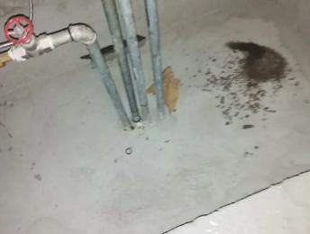 临夏卫生间测漏水价格明细